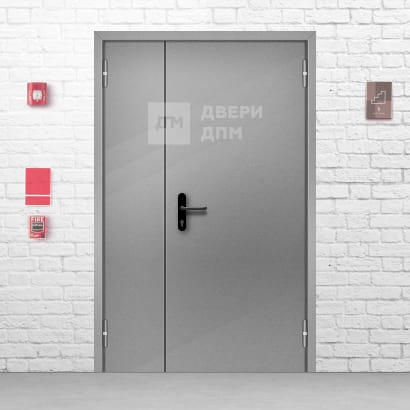 Противопожарная дверь ДПМ-02 EI-60 глухая полуторная склад